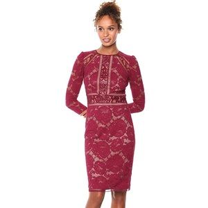 Holiday Tadashi Shoji ‘Selena’ Floral Lace Dress, Size 6